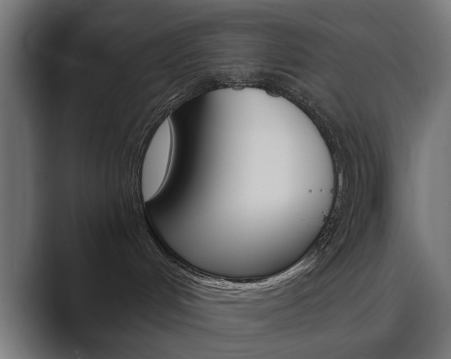 X0000089970048200706291112