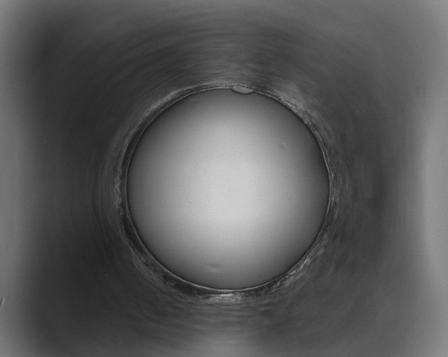 X0000089970050200706291112