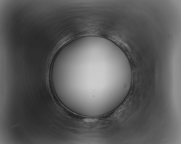 X0000089970051200706291112