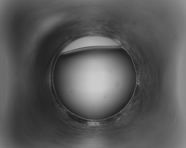 X0000089970052200706291112