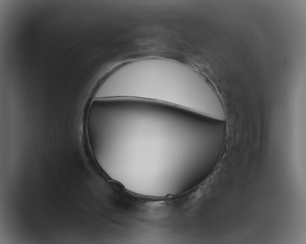 X0000089970054200706291112