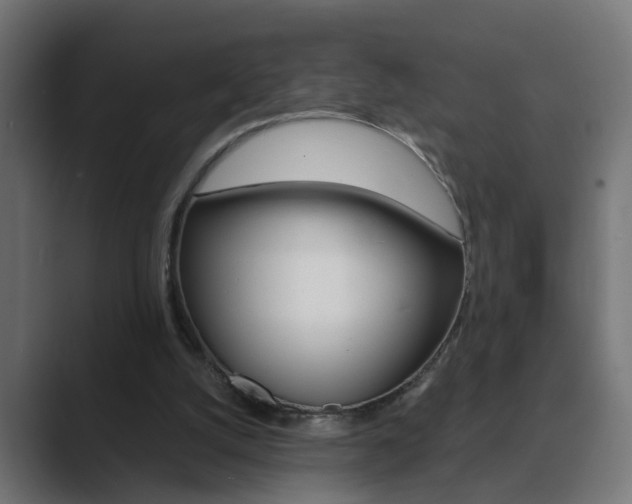 X0000089970056200706291112