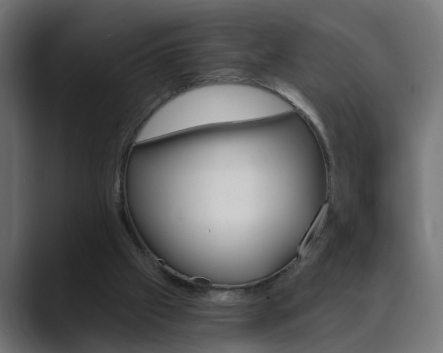 X0000089970057200706291112