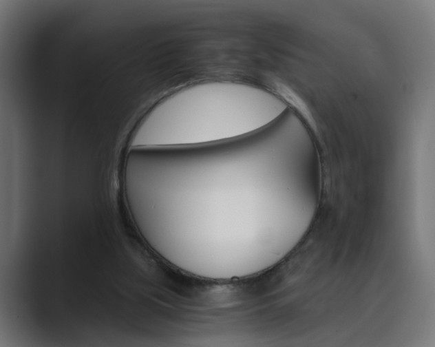 X0000089970059200706291112