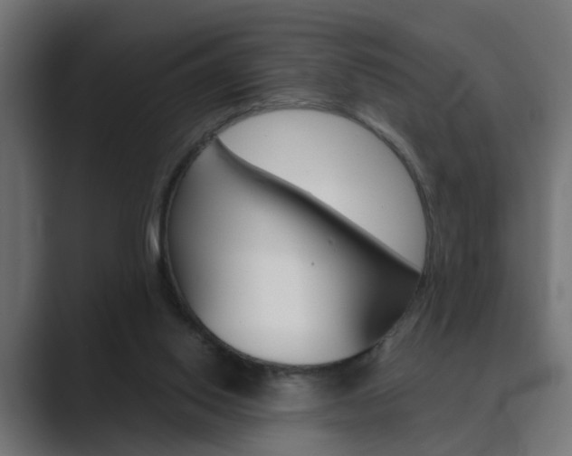 X0000089970062200706291112