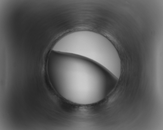 X0000089970064200706291112