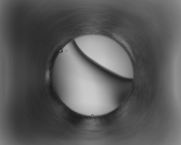 X0000089970067200706291112