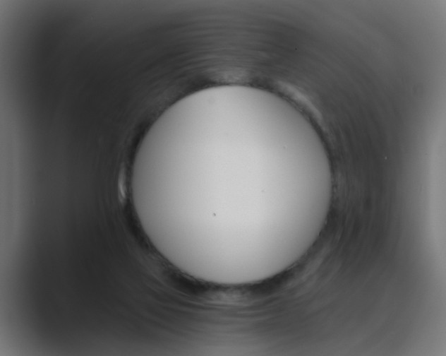 X0000089970069200706291112