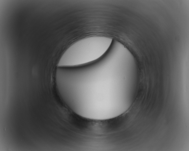 X0000089970074200706291112