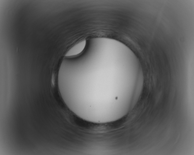 X0000089970075200706291112