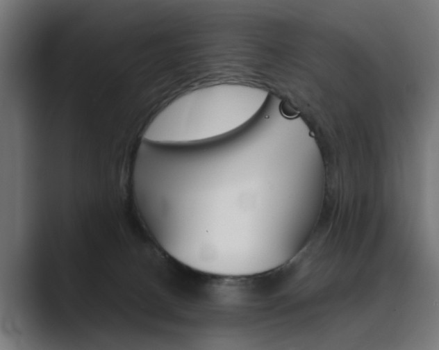 X0000089970082200706291112