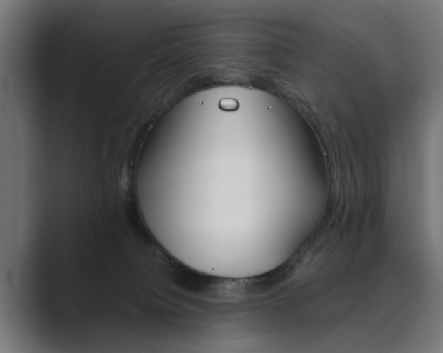 X0000089970084200706291112