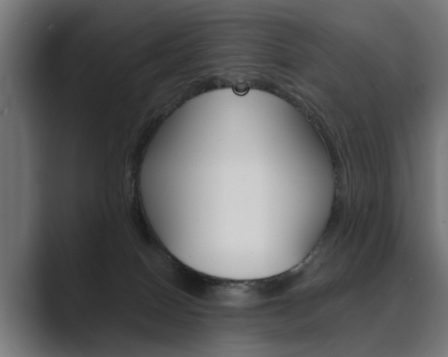 X0000089970086200706291112