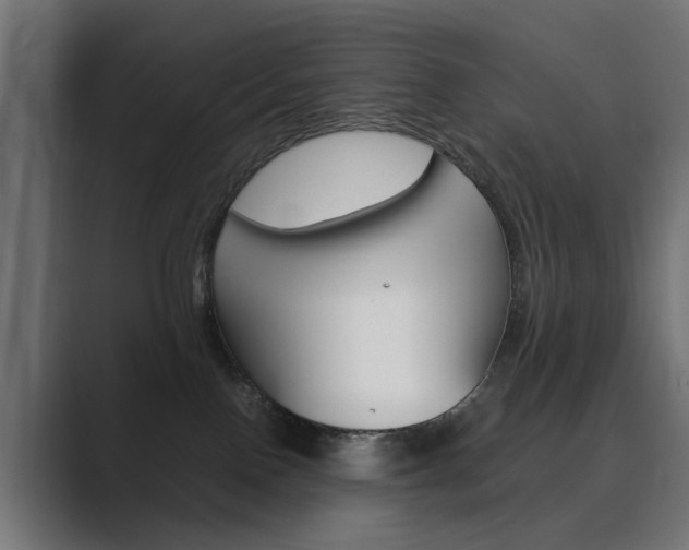X0000089970090200706291112