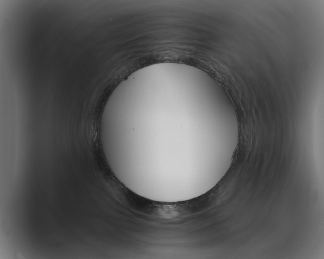 X0000089970091200706291112