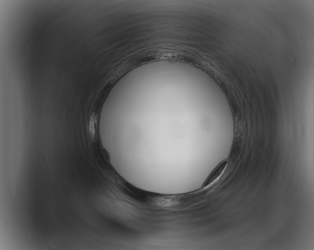 X0000089970094200706291112