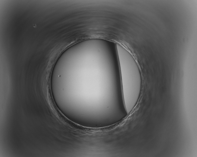 X0000089970097200706291112