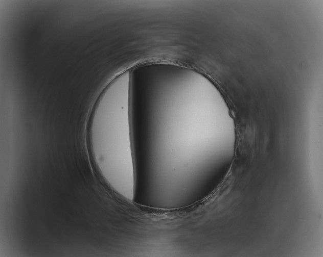 X0000089970100200706291112