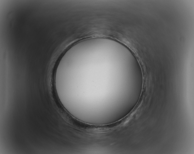 X0000089970103200706291111