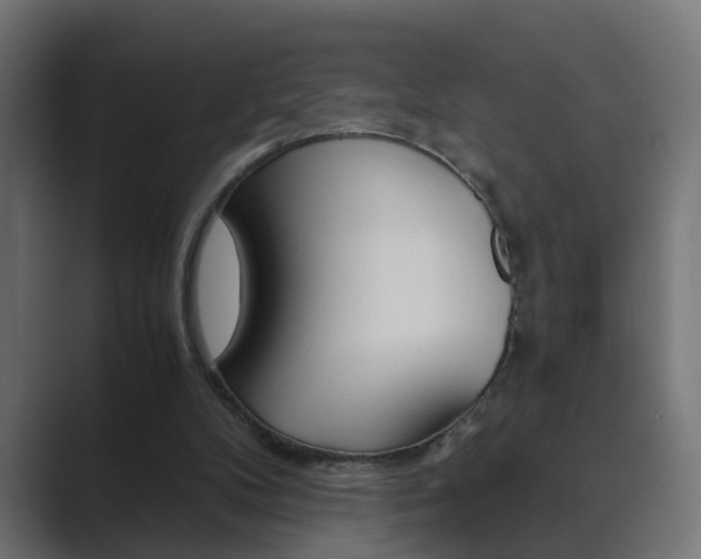 X0000089970104200706291111