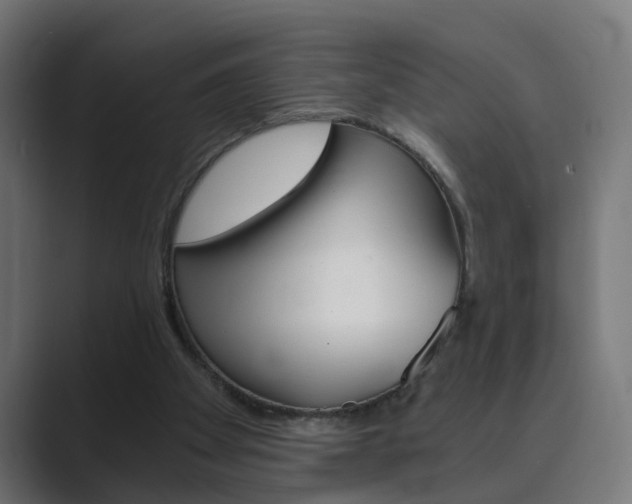 X0000089970105200706291111