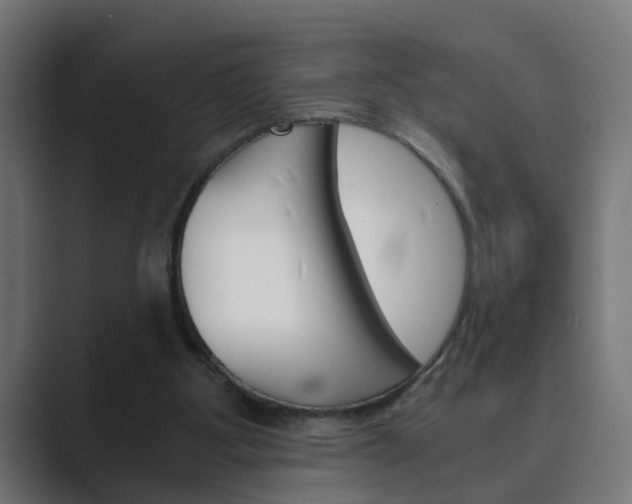 X0000089970107200706291111