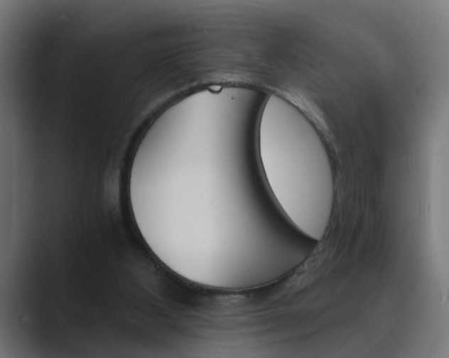 X0000089970108200706291111