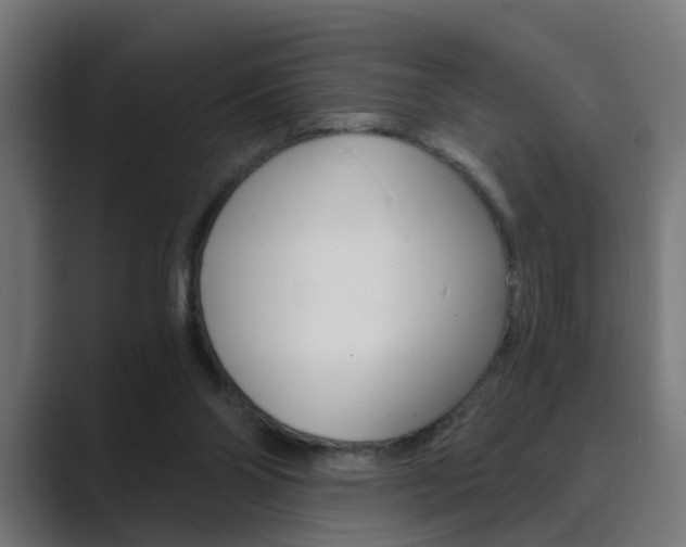 X0000089970110200706291111