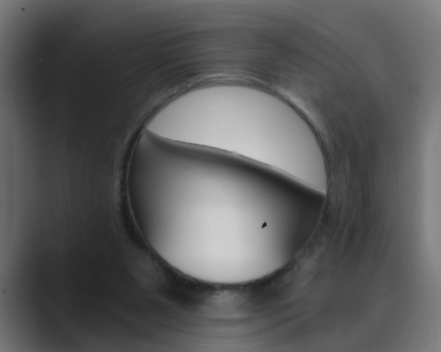 X0000089970111200706291111
