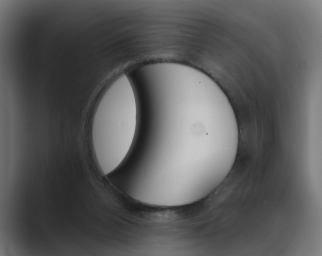 X0000089970112200706291111
