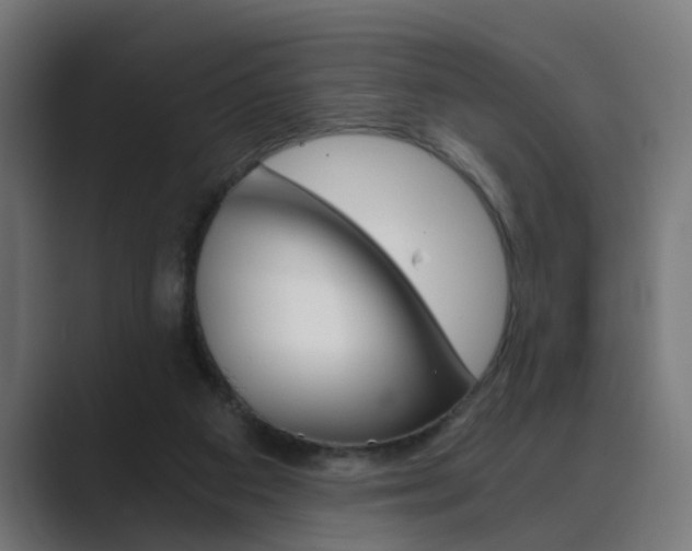 X0000089970113200706291111