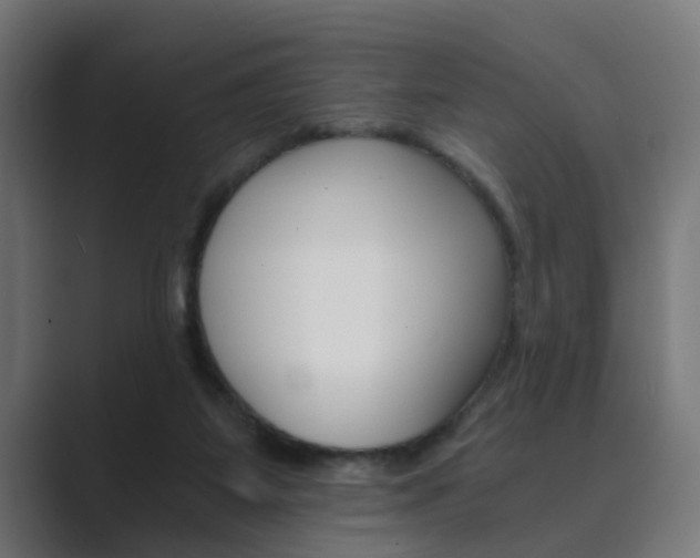 X0000089970115200706291111