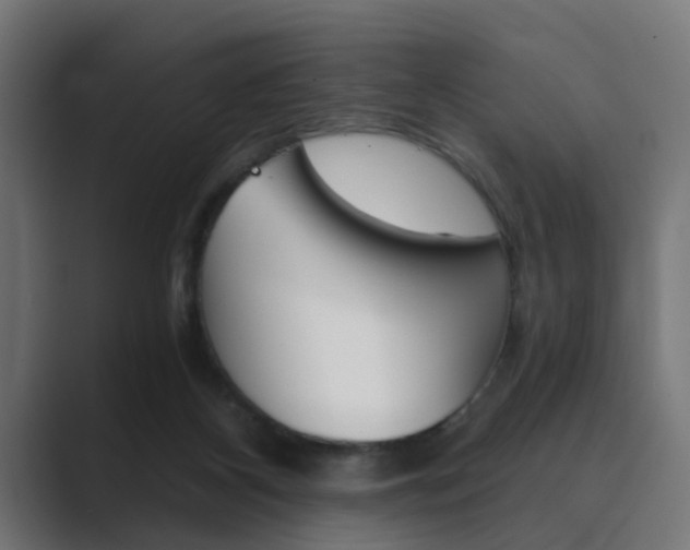 X0000089970116200706291111