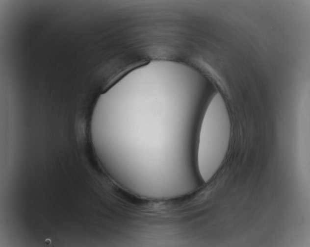 X0000089970117200706291111