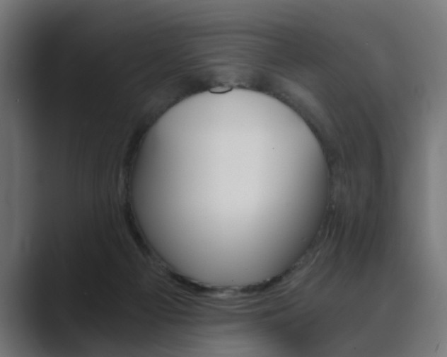 X0000089970121200706291111