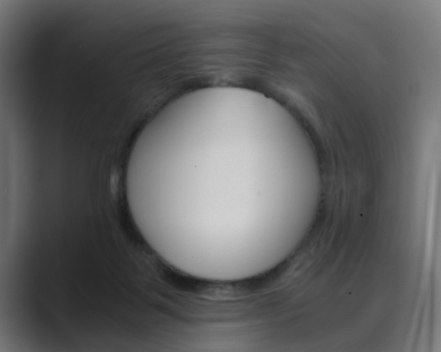 X0000089970123200706291111