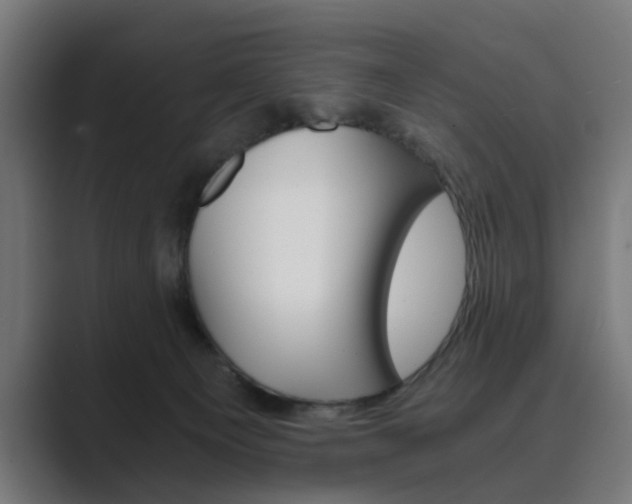 X0000089970129200706291111