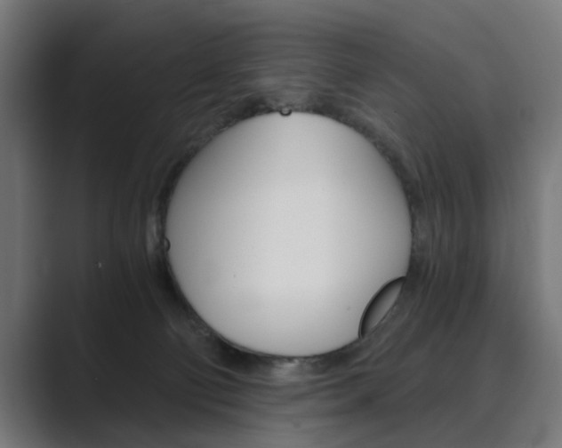 X0000089970130200706291111