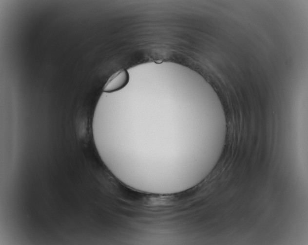 X0000089970134200706291111