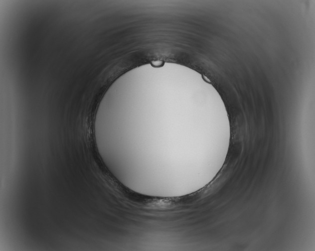 X0000089970140200706291111