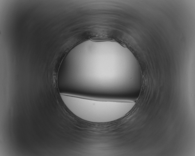 X0000089970141200706291111