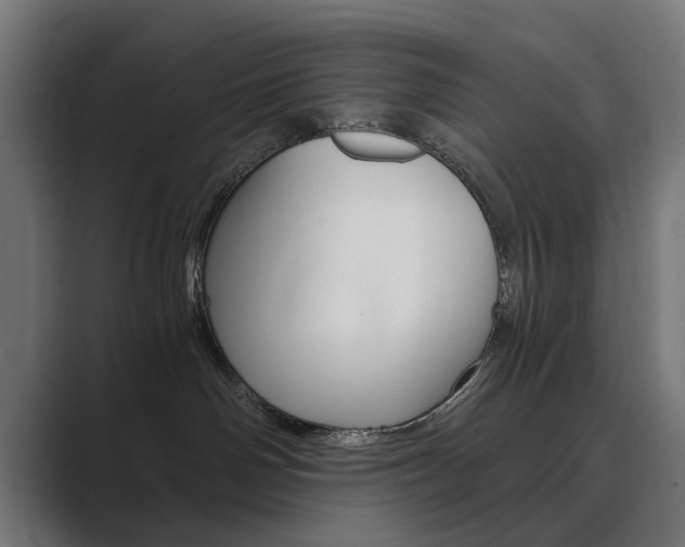 X0000089970142200706291111
