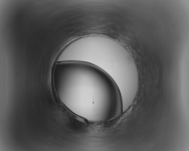 X0000089970148200706291110
