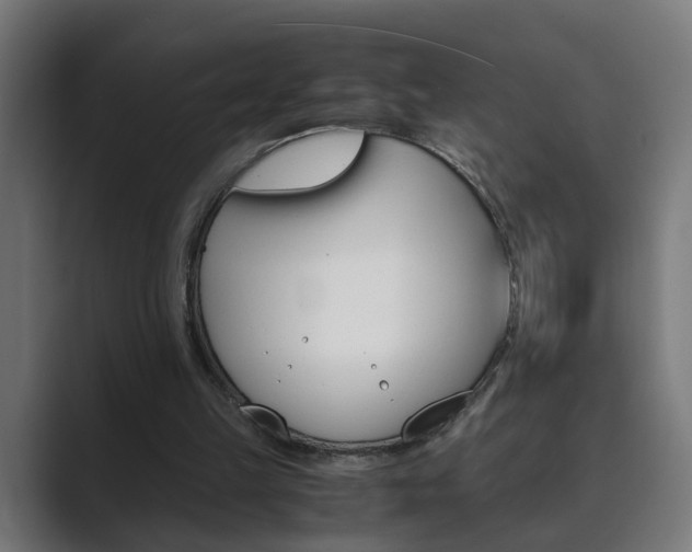 X0000089970149200706291110