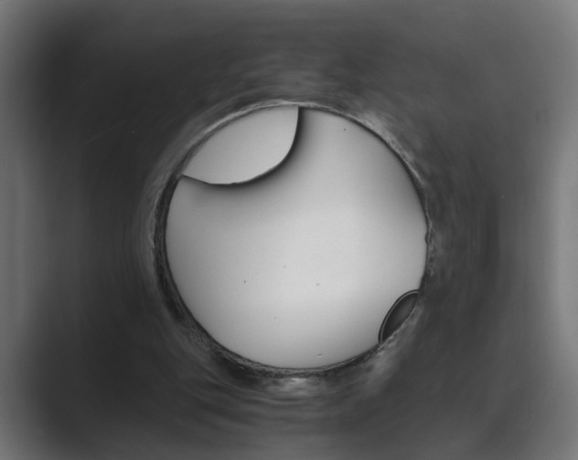X0000089970151200706291111