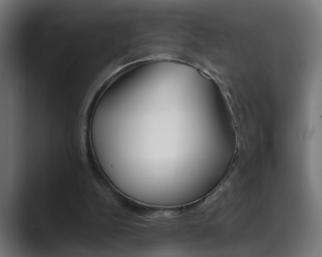 X0000089970152200706291111