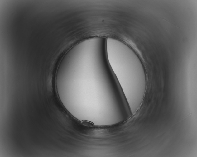 X0000089970154200706291111