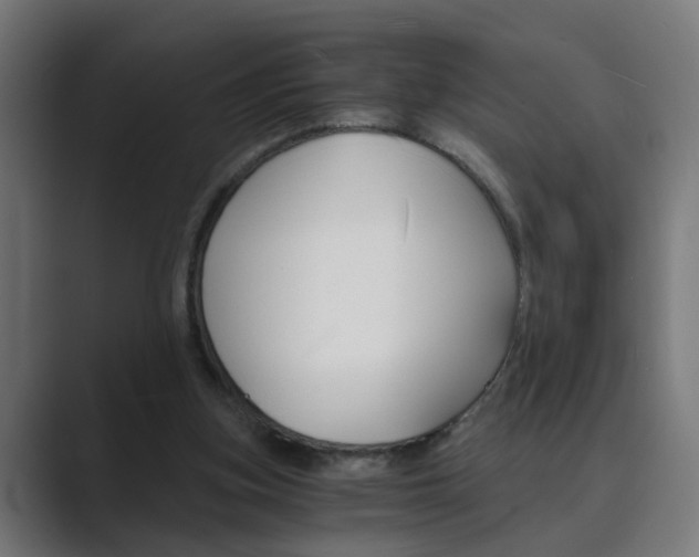 X0000089970155200706291111
