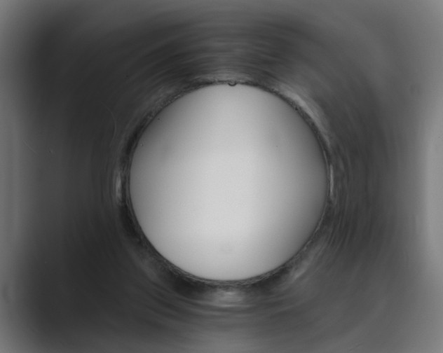 X0000089970157200706291111