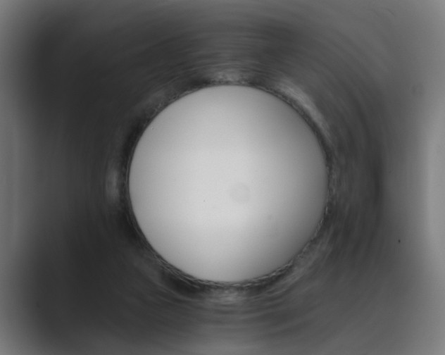 X0000089970161200706291111
